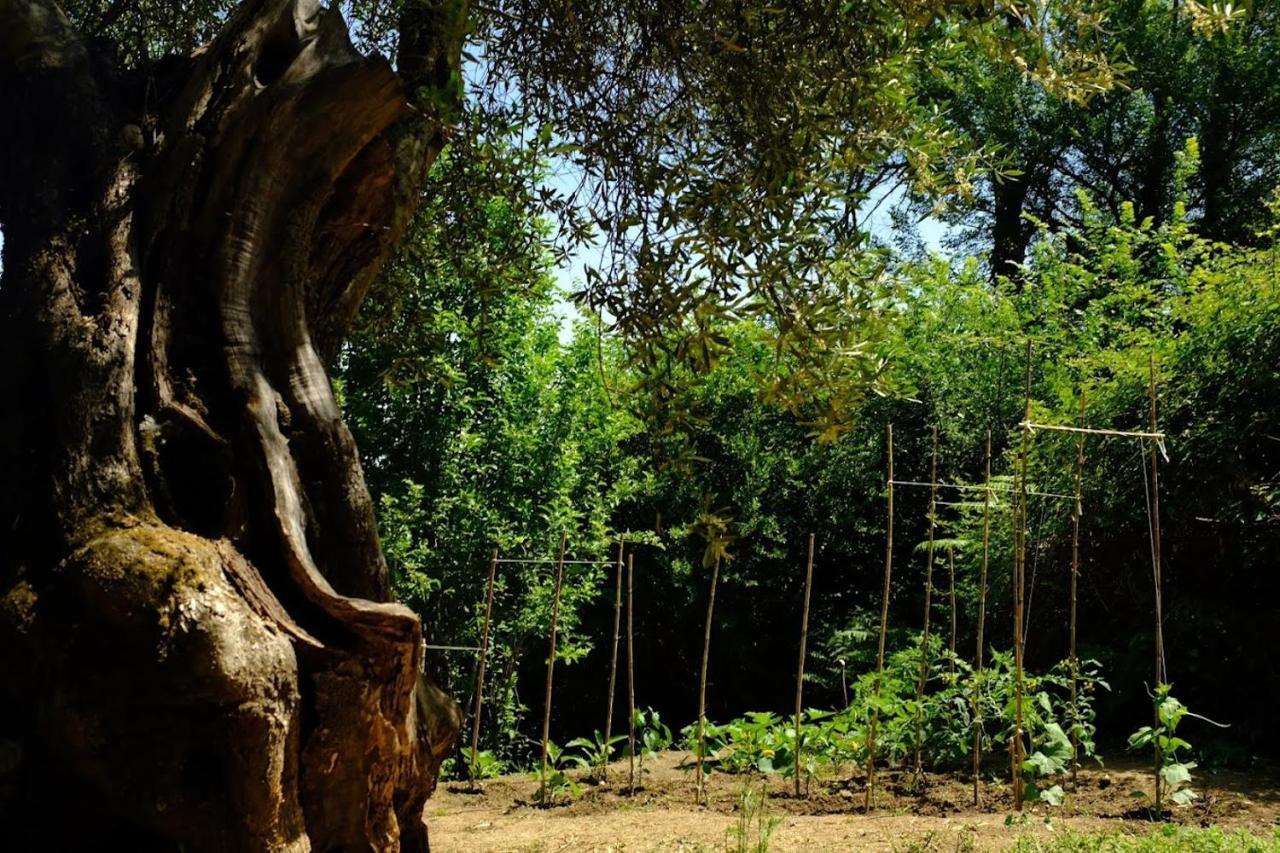 Villa Boukari Chlomos エクステリア 写真